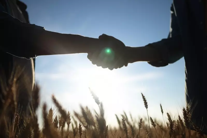people shaking hands in farm field